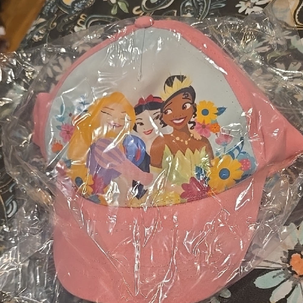 ❤️10/$40 New Disney Pink Character Hat Princesses